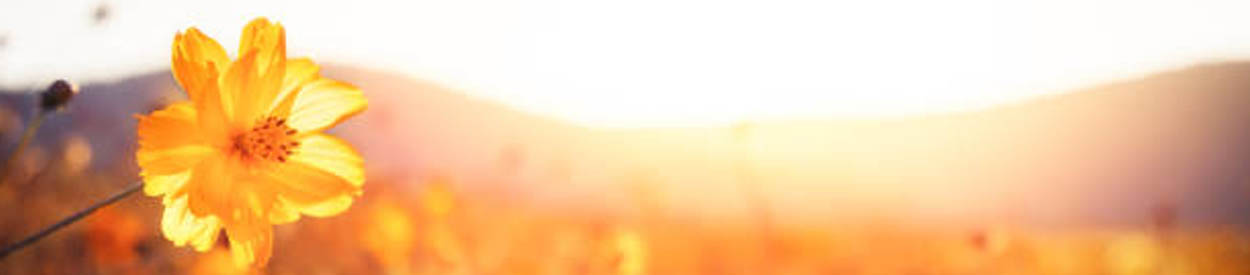 #nivo1 The earth is the Lord’s, and everything in it, the world, and all who live in it; for he founded it on the seas and established it on the waters. Psalm 24:1-2